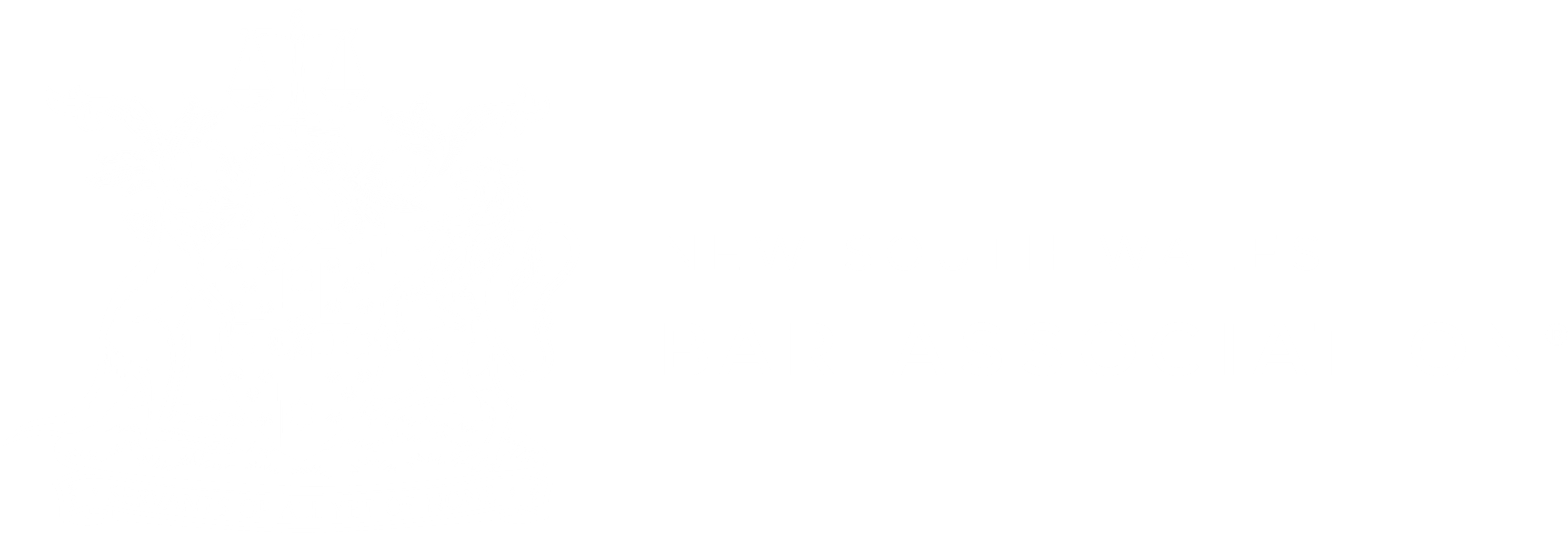 New South Wales Bar Association